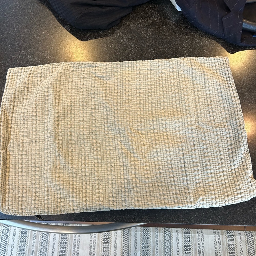 Pottery Barn Pillow Cover - Sage Green